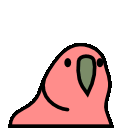 parrot gif